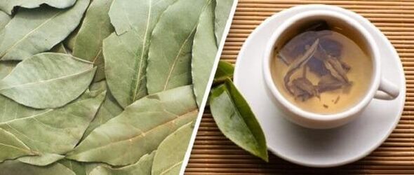 Θεραπεία της οστεοαρθρίτιδας με το Laurel Leaf