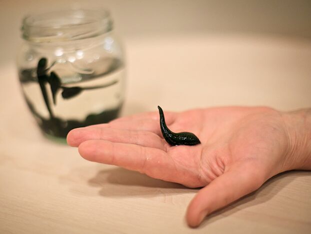 Χρησιμοποιείται για τη θεραπεία της αρθροπάθειας της άρθρωσης του γόνατος